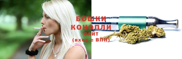 ПСИЛОЦИБИНОВЫЕ ГРИБЫ Аркадак