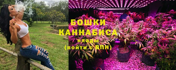 ПСИЛОЦИБИНОВЫЕ ГРИБЫ Аркадак