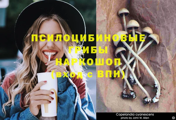 спайс Арсеньев